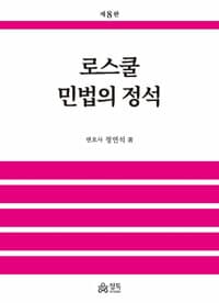 로스쿨 민법의 정석 