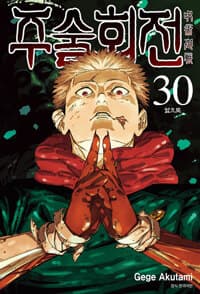 주술회전 30 (더블 특장판) 